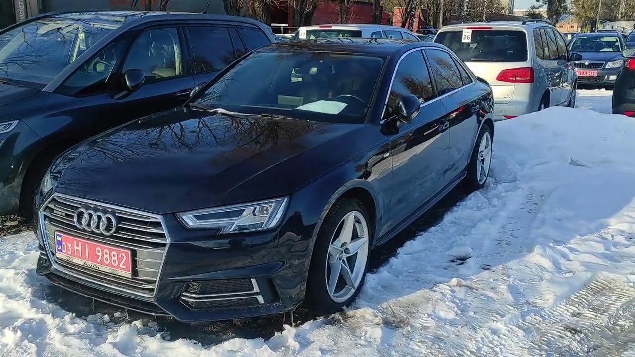 Авторинок 20.02.2026 Луцьк. 