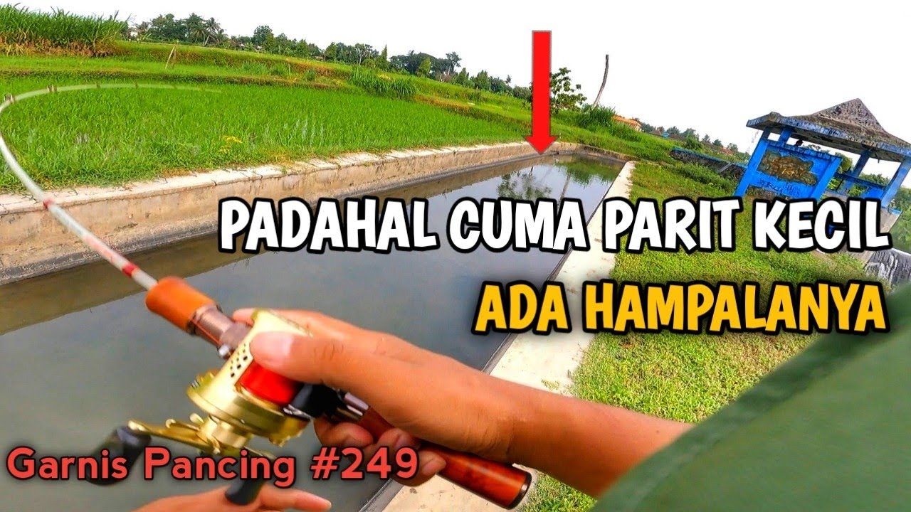 CASTING DI PARIT KECIL‼️STRIKE IKAN HAMPALA & JUGA IKAN BAUNG | GARNIS PANCING #249