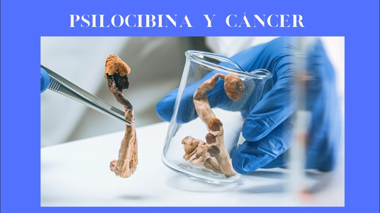 Psilocibina y Cáncer