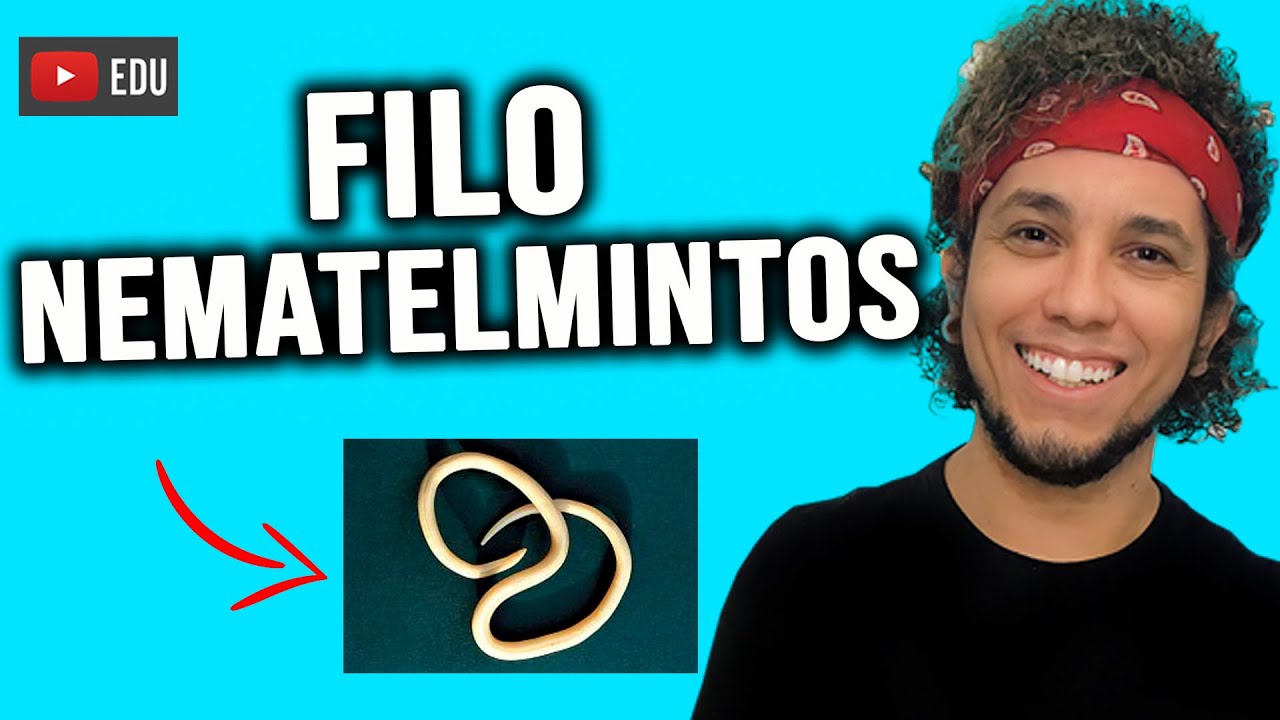 NEMATELMINTOS - REINO ANIMALIA - ZOOLOGIA - AULA PARA ENEM E VESTIBULAR - Biologia com Patrick Gomes