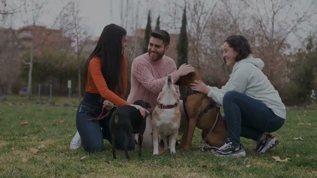 [PODCAST] Qué es el estrés y como funciona en tu perro