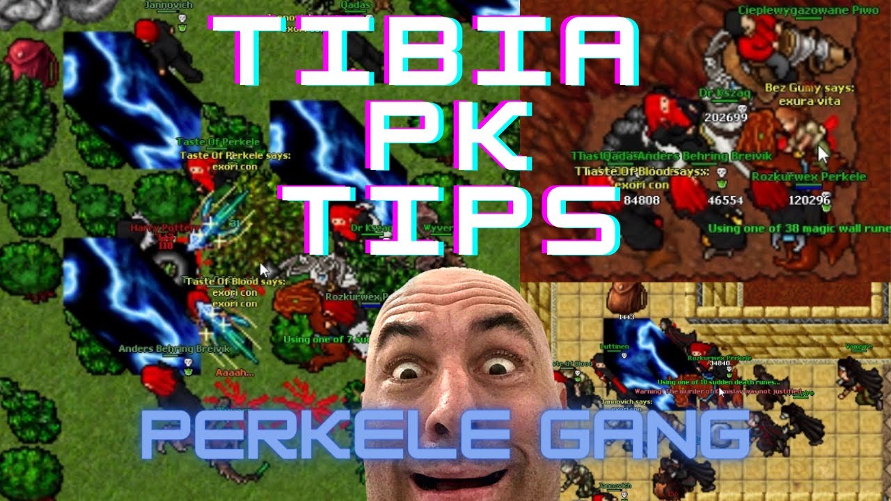 TIBIA realera org PERKELE GANG 2023 Learn How to PK and Survive! Yeah Buddy