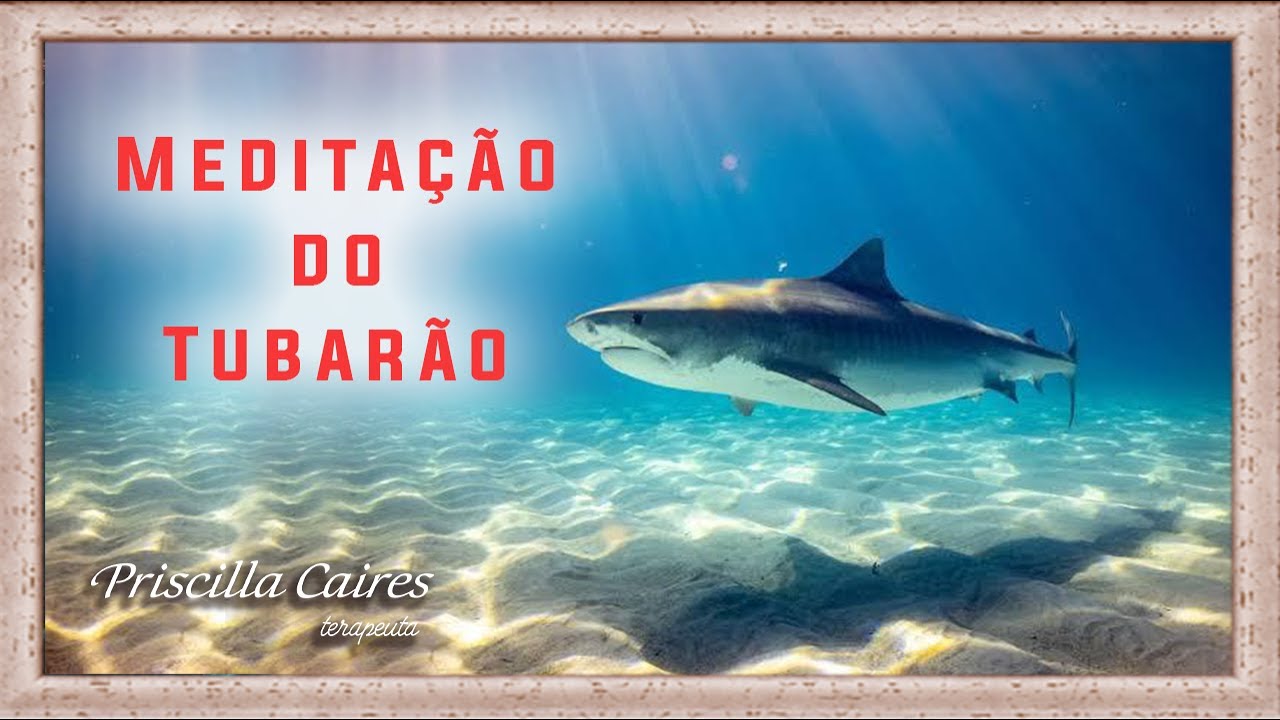 Meditação do Tubarão