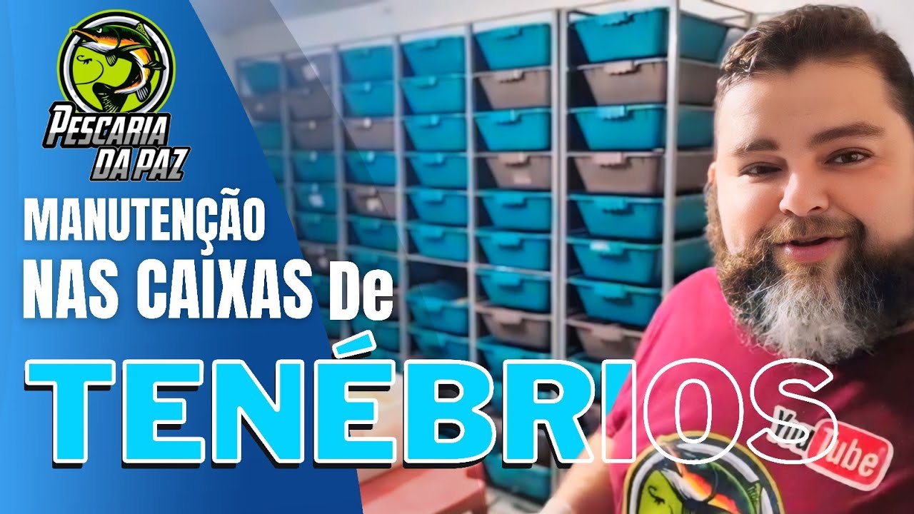MANUTENÇÃO NAS CAIXAS DE TENÉBRIOS