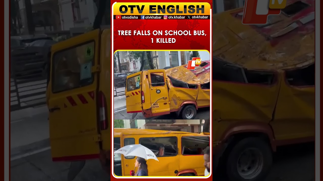 11-Year-Old Student Killed, 4 Injured After Tree Falls On School Bus In Mumbai's Chembur