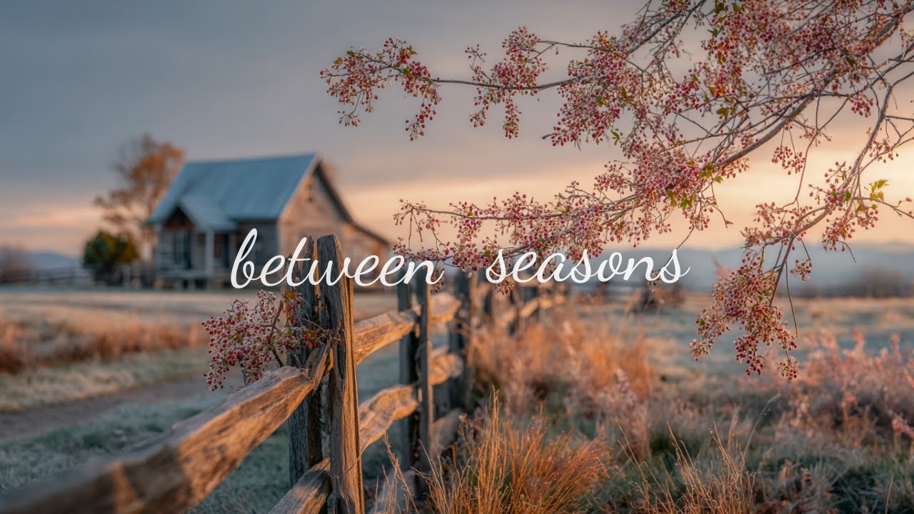 Slow Living Playlist | Between Seasons, Where Time Softens | Relaxing Guitar