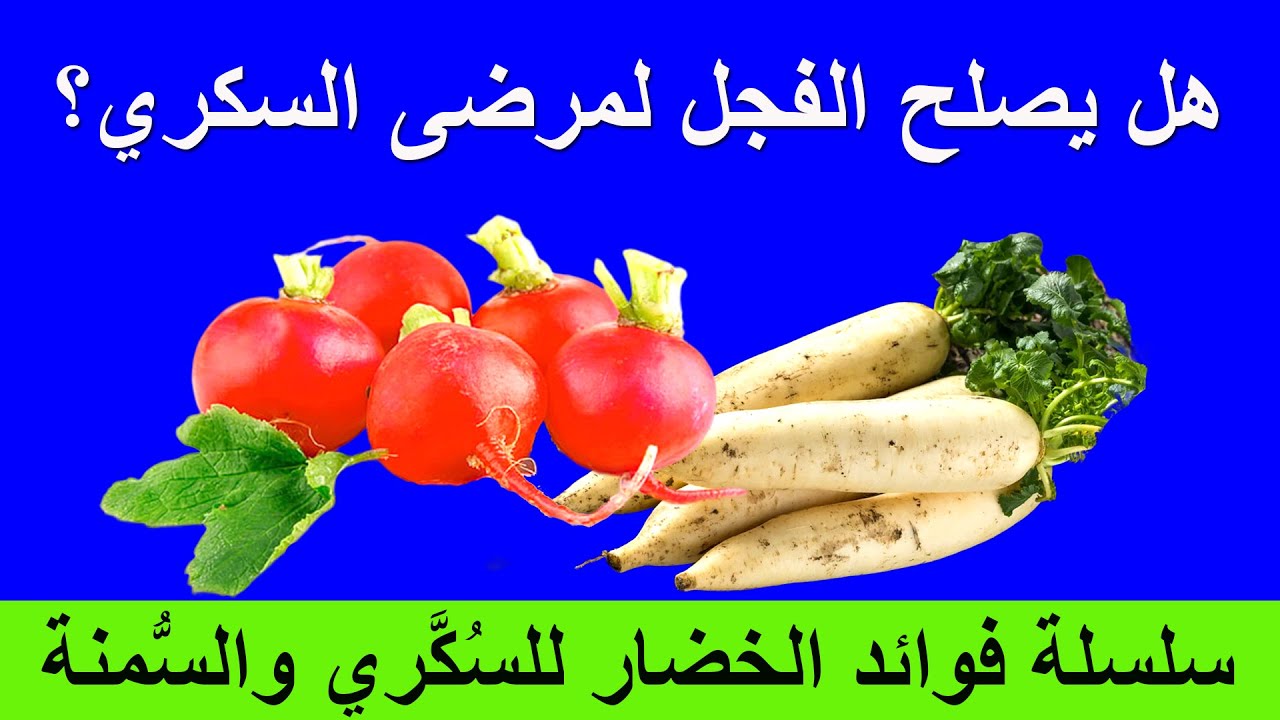 هل يصلح الفجل لمريض السكري | بديل الجينسينغ لصحة الرجال | الفيتامينات في الفجل