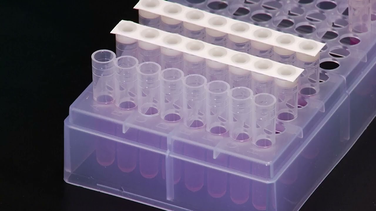 3M™ Molecular Detection Assay 2