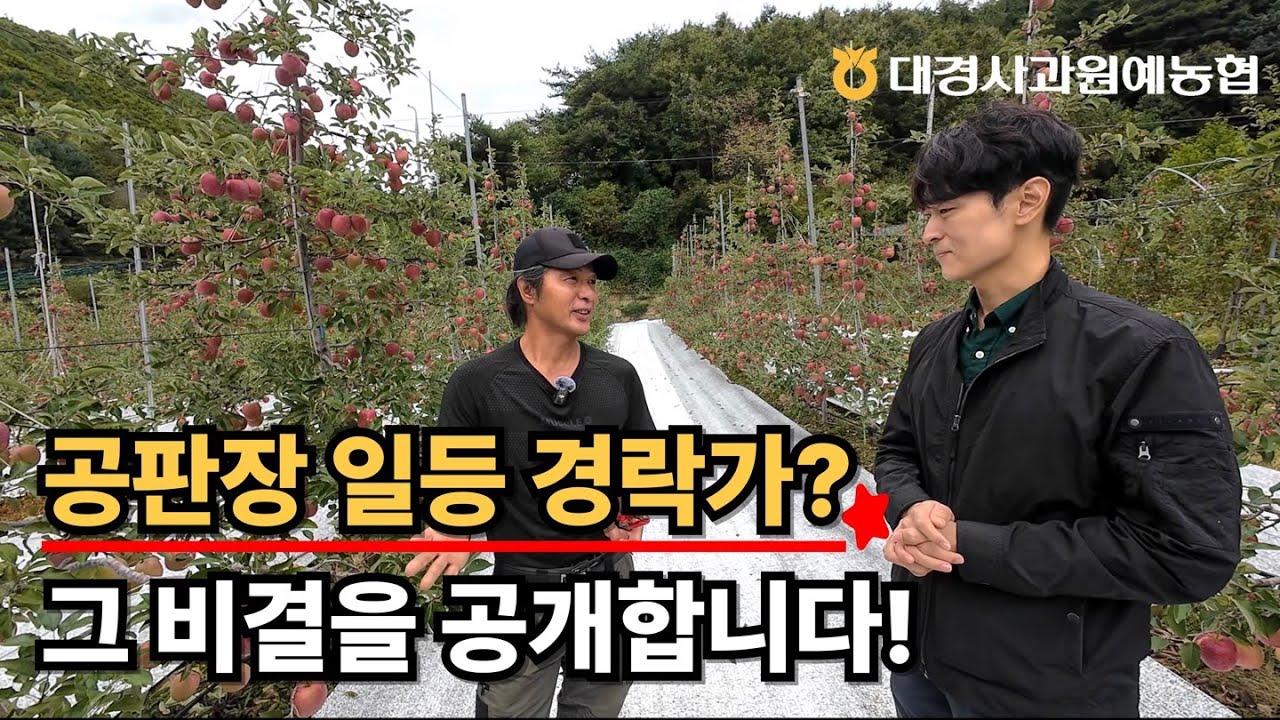 [사과] 공판장 일등 경락가? 그 비결을 공개합니다!