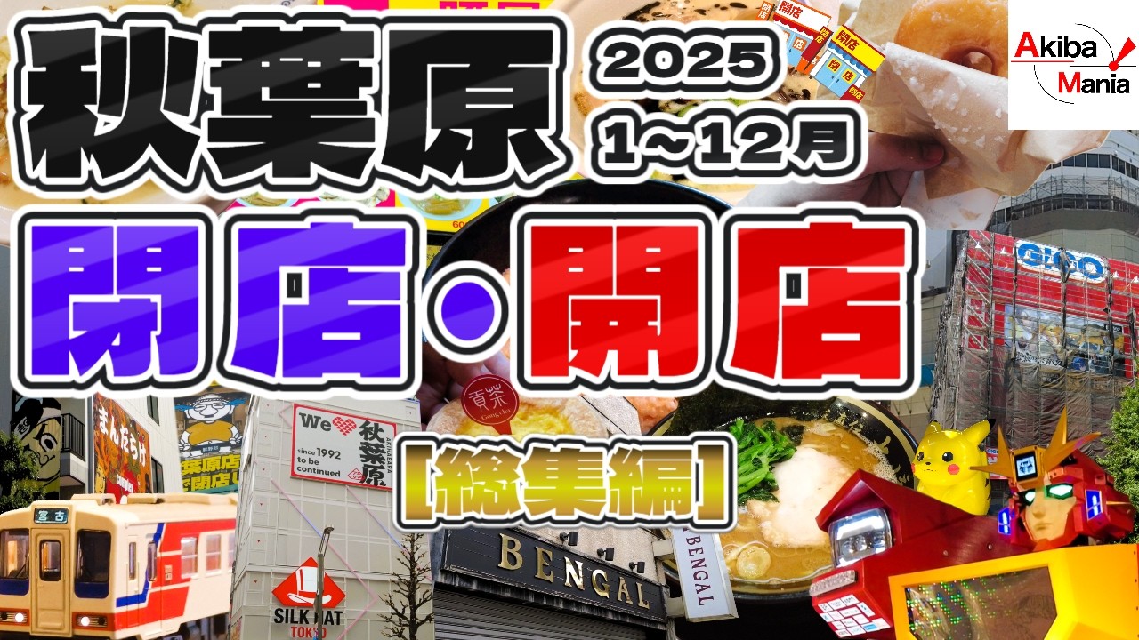 【アキバ激動の２０２５年がこの一本に！】秋葉原の閉店開店したお店を巡ってみた件！【2025年総集編】