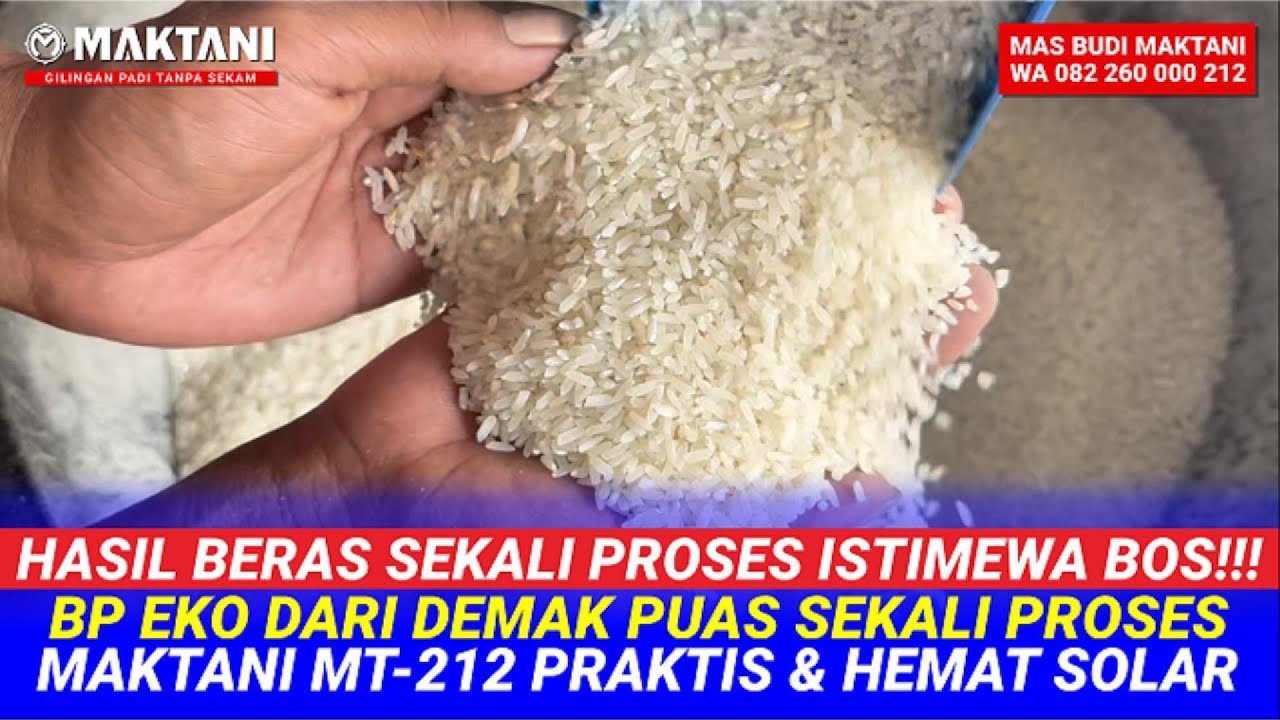 Berasnya Istimewa Sekali Proses Pakai Giling Padi MAKTANI MT212 - Bp Eko Dari Demak Ke Sragen Puas