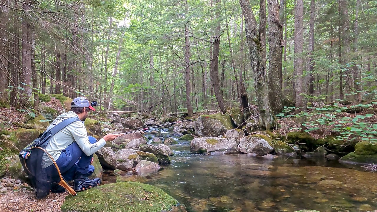 Tenkara Fly Fishing -Mountain Stream Loaded with Wild Brook Trout
