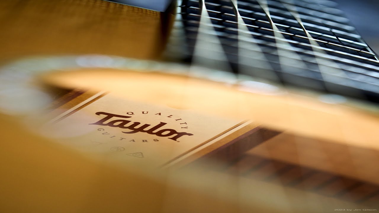 Taylor GS, Fishman LoudBox, TC Helicon Harmony-G, Boss Loop Station, Cuvave WP-1, MadLife