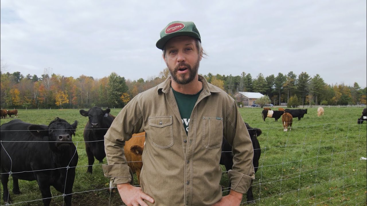 More Than Just A Market Garden | Animals At FQT Farm (La Ferme des Quatre-Temps)