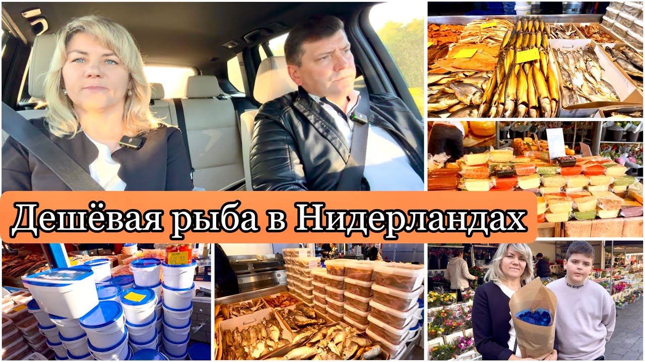 Рыбный Рынок в Нидерландах / Самая Вкусная Селёдка и Сыр / Эншеде Голландия /