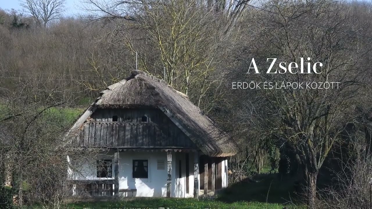 Ismerjük meg a Zselicet