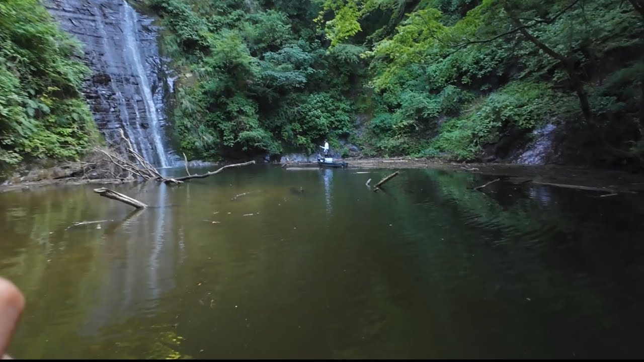 夏の亀山湖でSUPツーリング