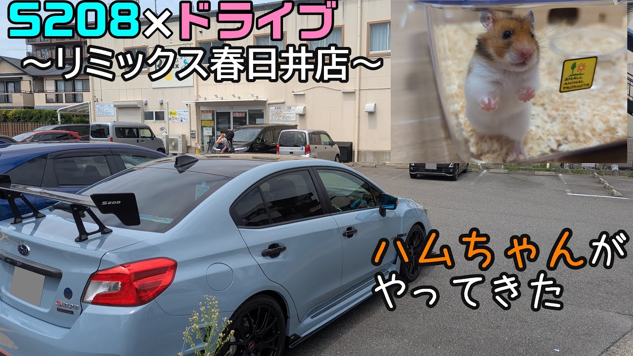 ハムスターを迎えに行った話【WRX S208】