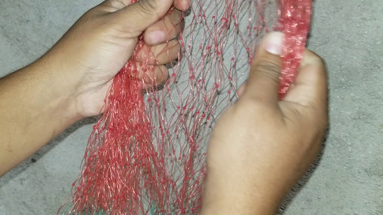 SEGUIMIENTO de la ATARRAYA 50x25