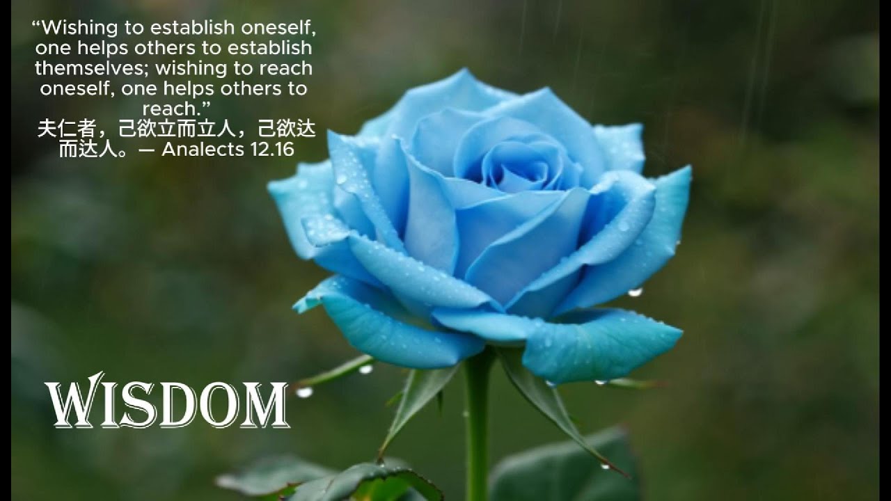 1 Hour 852Hz Wisdom Frequency — Blue Rose (Yijing Trigrams, Guzheng) | Deep Insight, No Vocals