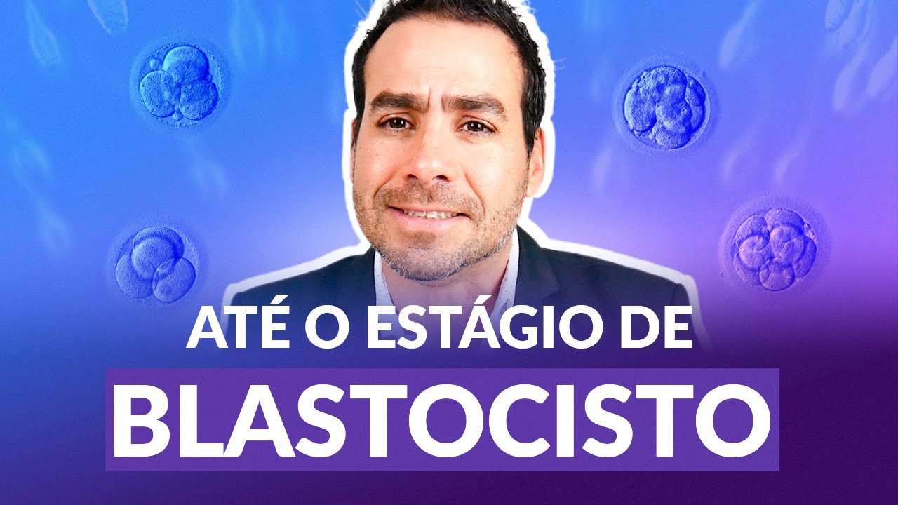 Como Acontece a Evolução do Embrião