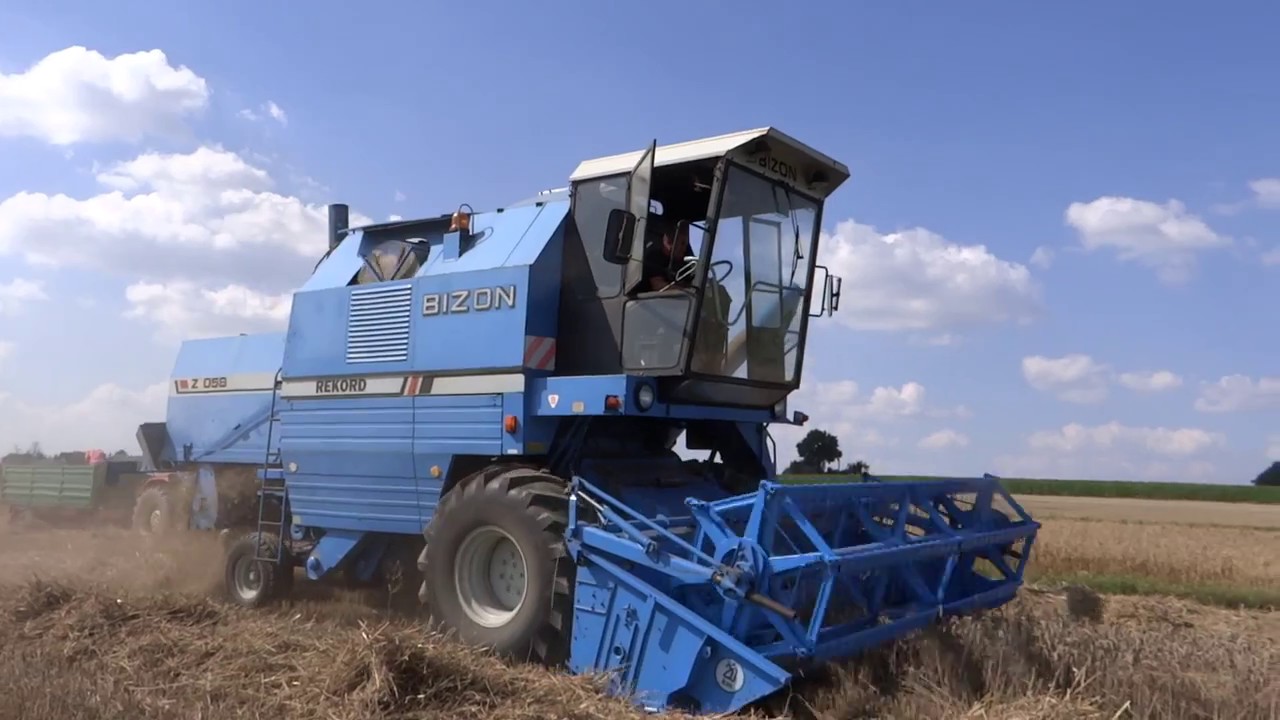 Żniwa 2018 z Bizonami