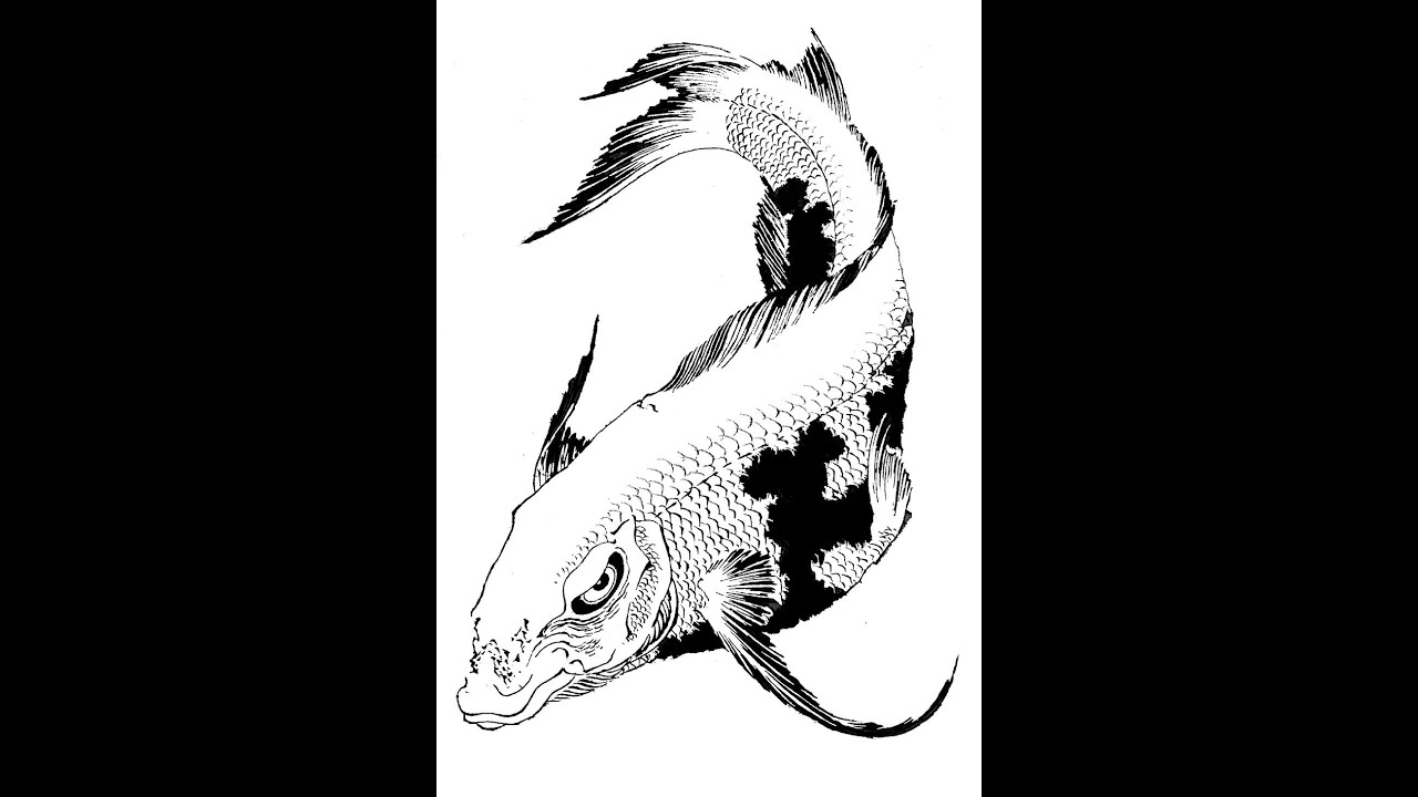 Потерянная запись.  Кои но такинобори рю 2008 год. Часть №1