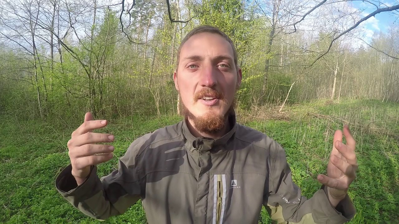 Gar&scaron;vos ir dilgėlės pusryčiams