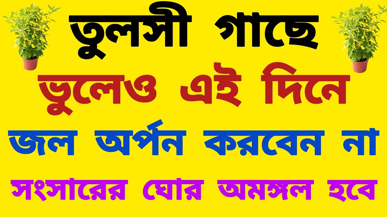 তুলসী গাছে ভুলেও এই দিনে জল অর্পন করবেন না || সংসারের ঘোর অমঙ্গল হবে। Tulsi