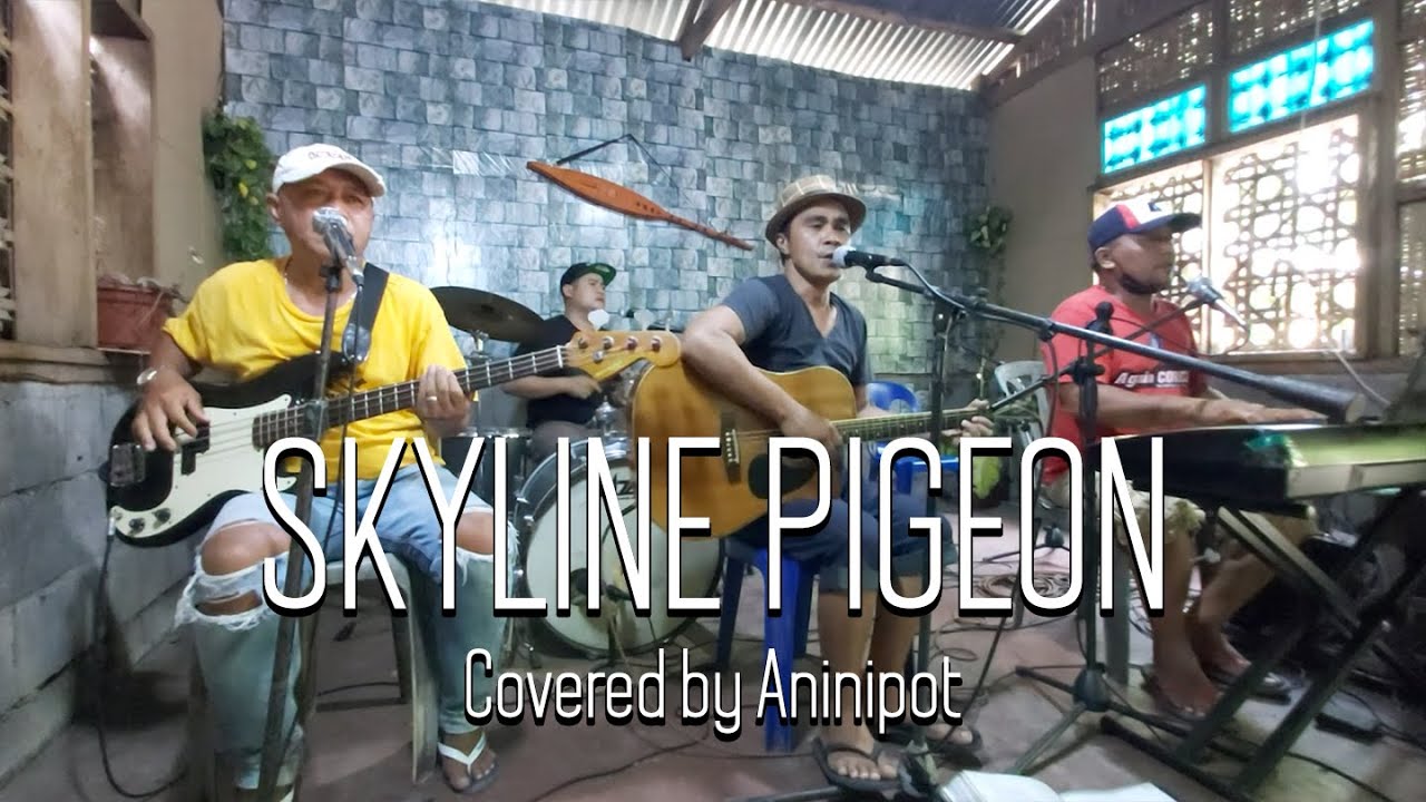 Skyline Pigeon - Elton John, Bernie Taupin | Aninipot Covers