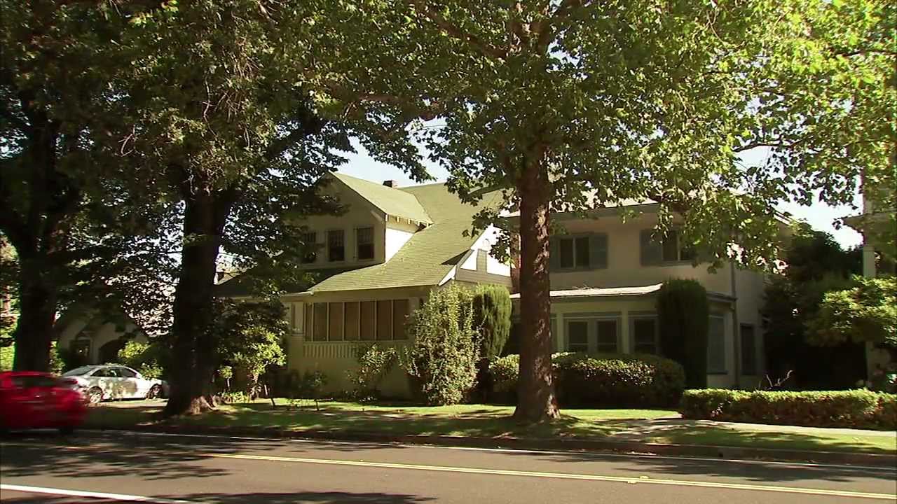 Sacramento Tree Foundation!