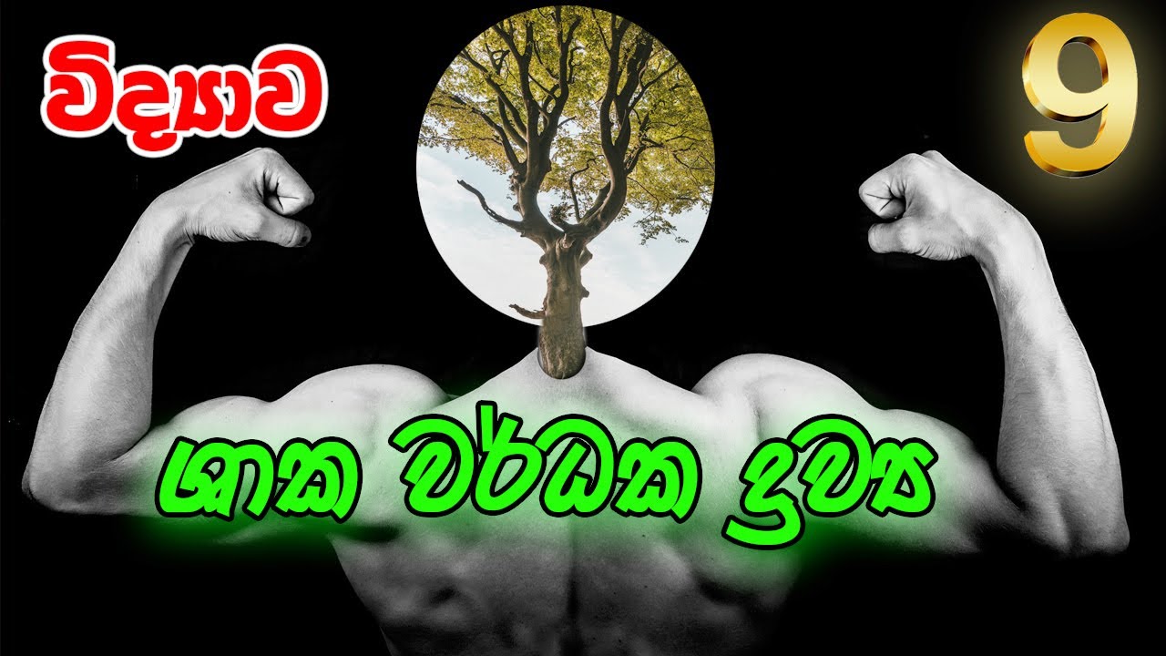 9 ශ්‍රේණිය විද්‍යාව - ශාක වර්ධක  ද්‍රව්‍ය - 7 පාඩම (Grade 9 Science - Plant Growth Substances)