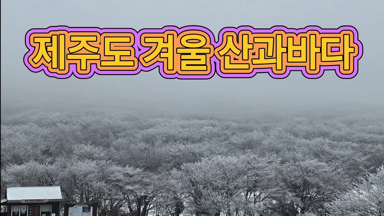 한라산 1100고지 상고대 설경과 겨울바다,동문시장