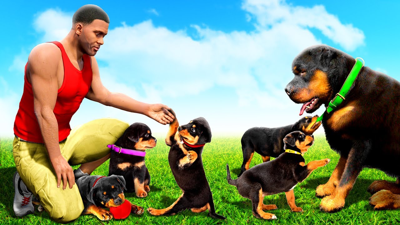 Chop has PUPPIES in GTA 5!