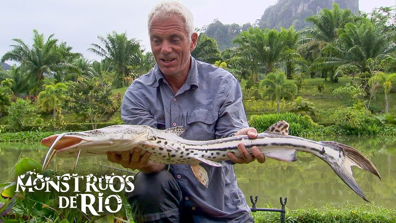 &iexcl;Este Lago tiene los PECES M&Aacute;S RAROS del Mundo! | Monstruos de R&iacute;o