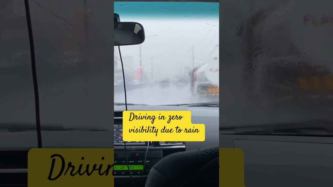 Driving in zero visibility #rain #zerovisibility #driving #roadsafety #safedriving #shorts