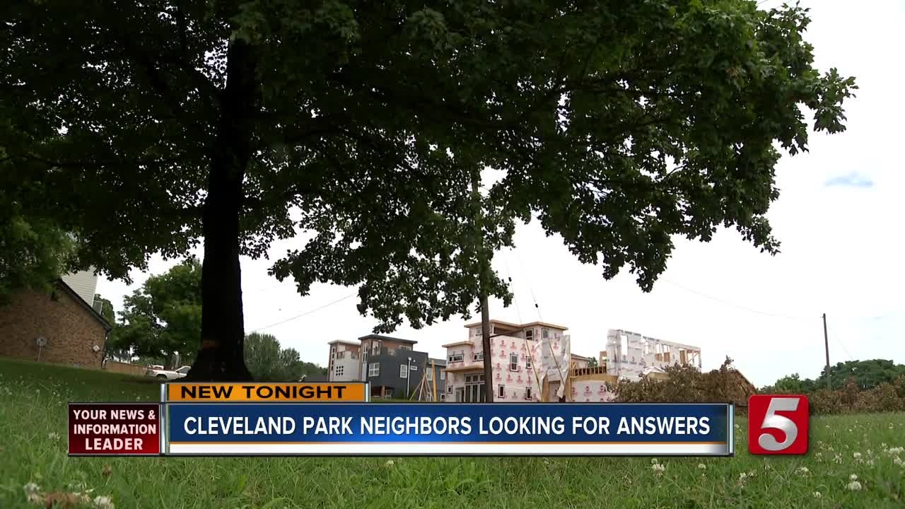 Cleveland Park Tree Illegally Chopped Down