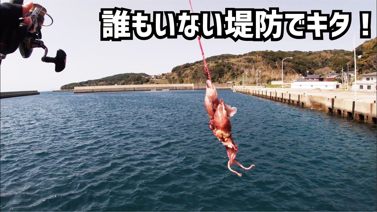 だーれもいない堤防先端から釣りの撮影をしていたら怪魚が掛かってきた（690話目）