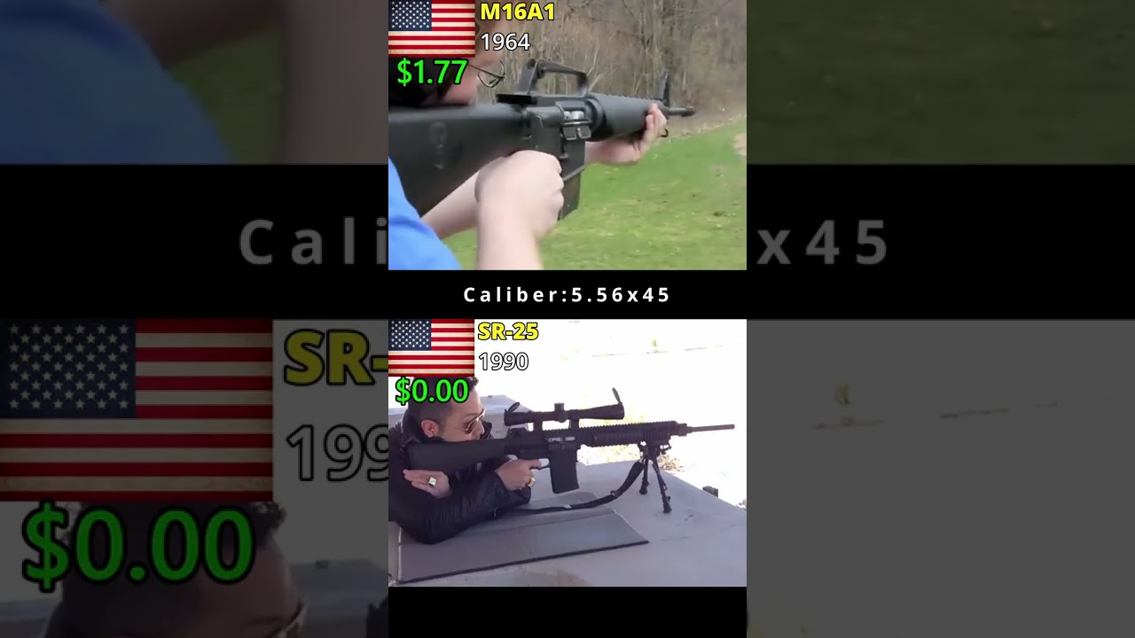 M16A1 vs SR-25, Stoner First and Last #military #shorts #weaponhistory #airsoft