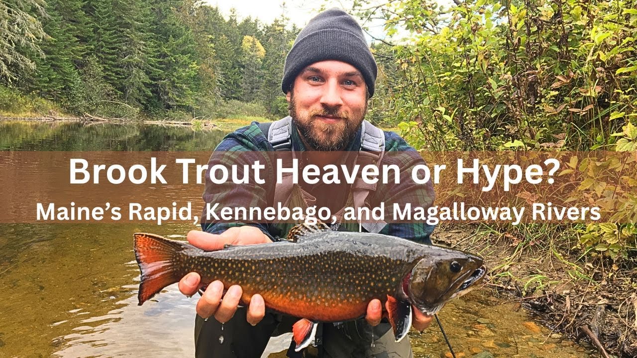 Brook Trout Heaven or Hype? Rangeley Maine&rsquo;s Rapid, Kennebago, and Magalloway Rivers