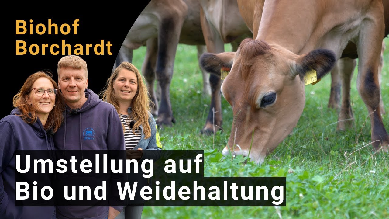 Umstellung auf Bio und Weidehaltung mit Jersey-K&uuml;hen | Demo auf dem Hof der Familie Borchardt