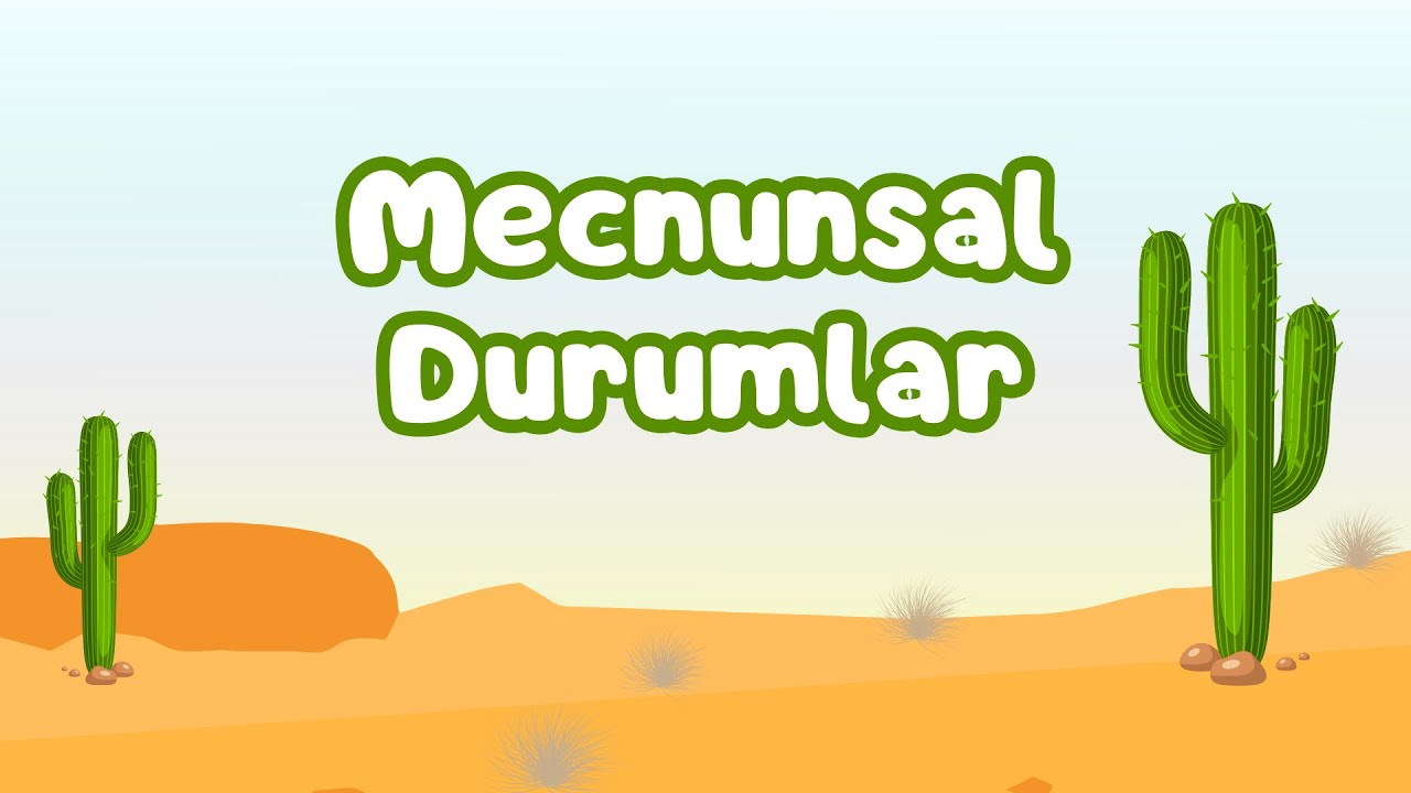 Mecnunsal Durumlar