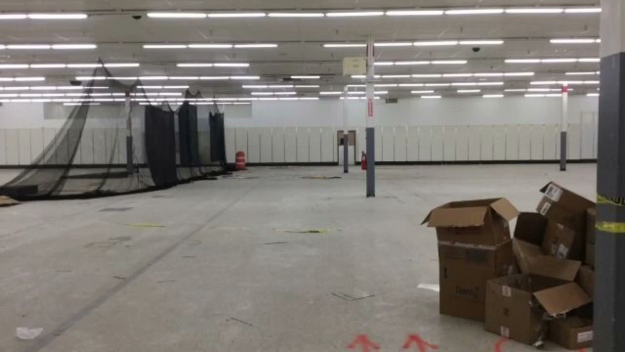 liminal spaces with minecraft warped forest sounds