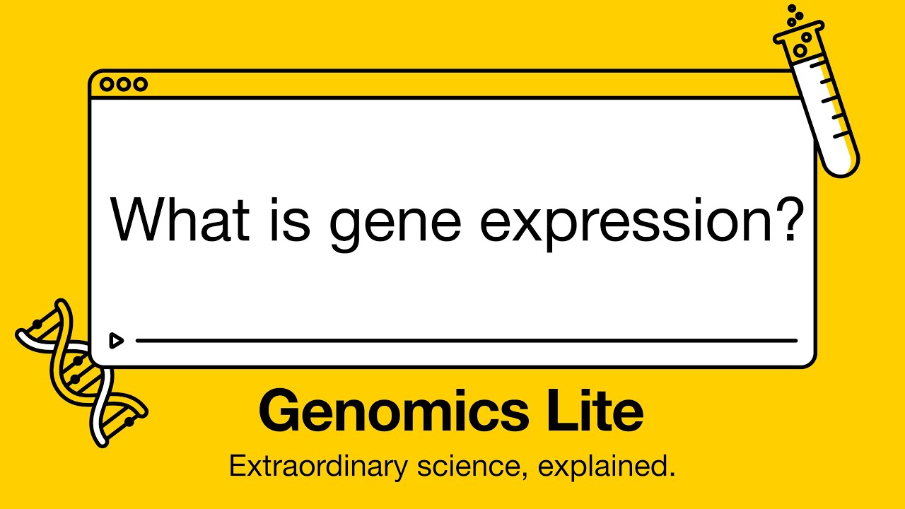 Genomics Lite: What is gene expression?