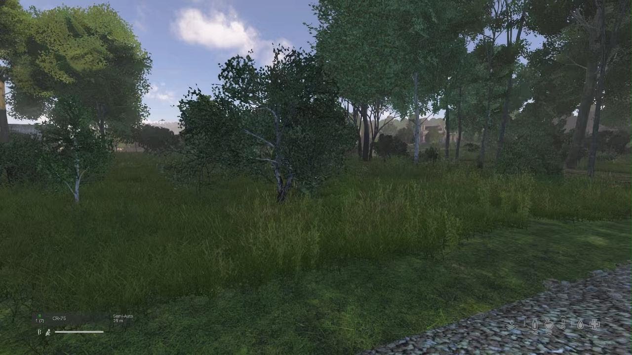 DayZ_20260124190750