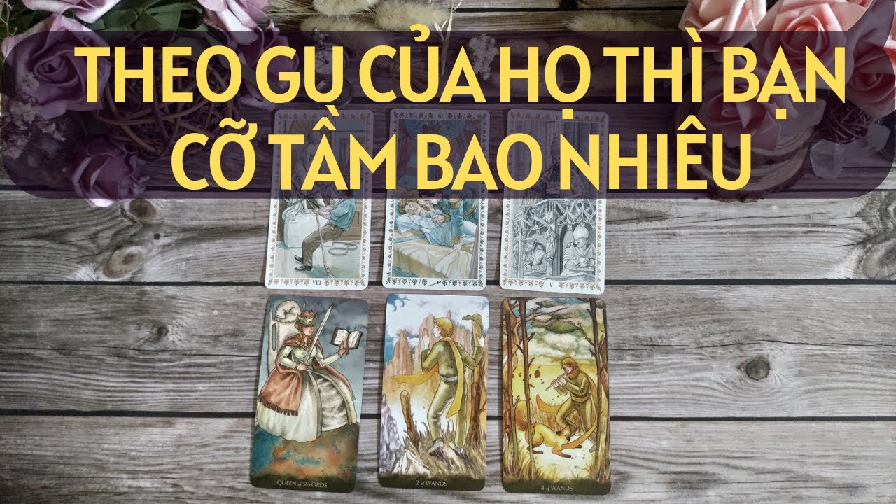 Chọn 1 tụ bài Tarot - Theo gu của họ thì bạn cỡ tầm bao nhiêu - Alo Andy