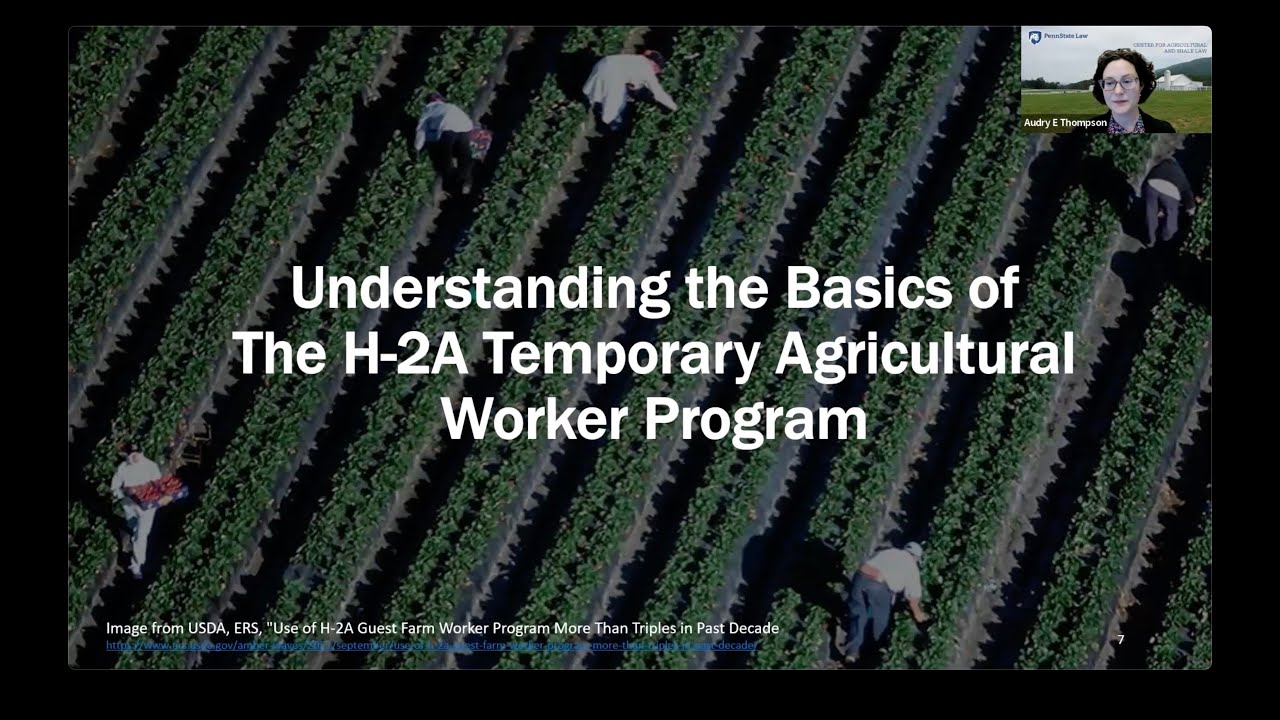 Understanding the Basics of the H-2A Temporary Agricultural Worker Program