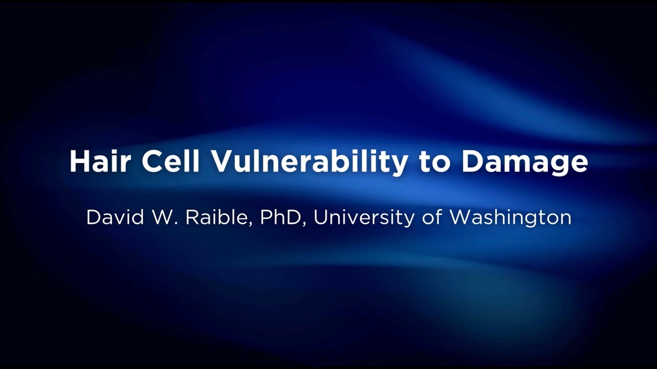 Hair Cell Vulnerability to Damage | David W. Raible, PhD, University of Washington