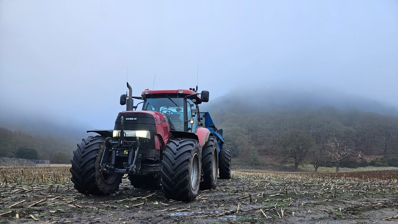 puma on slurry