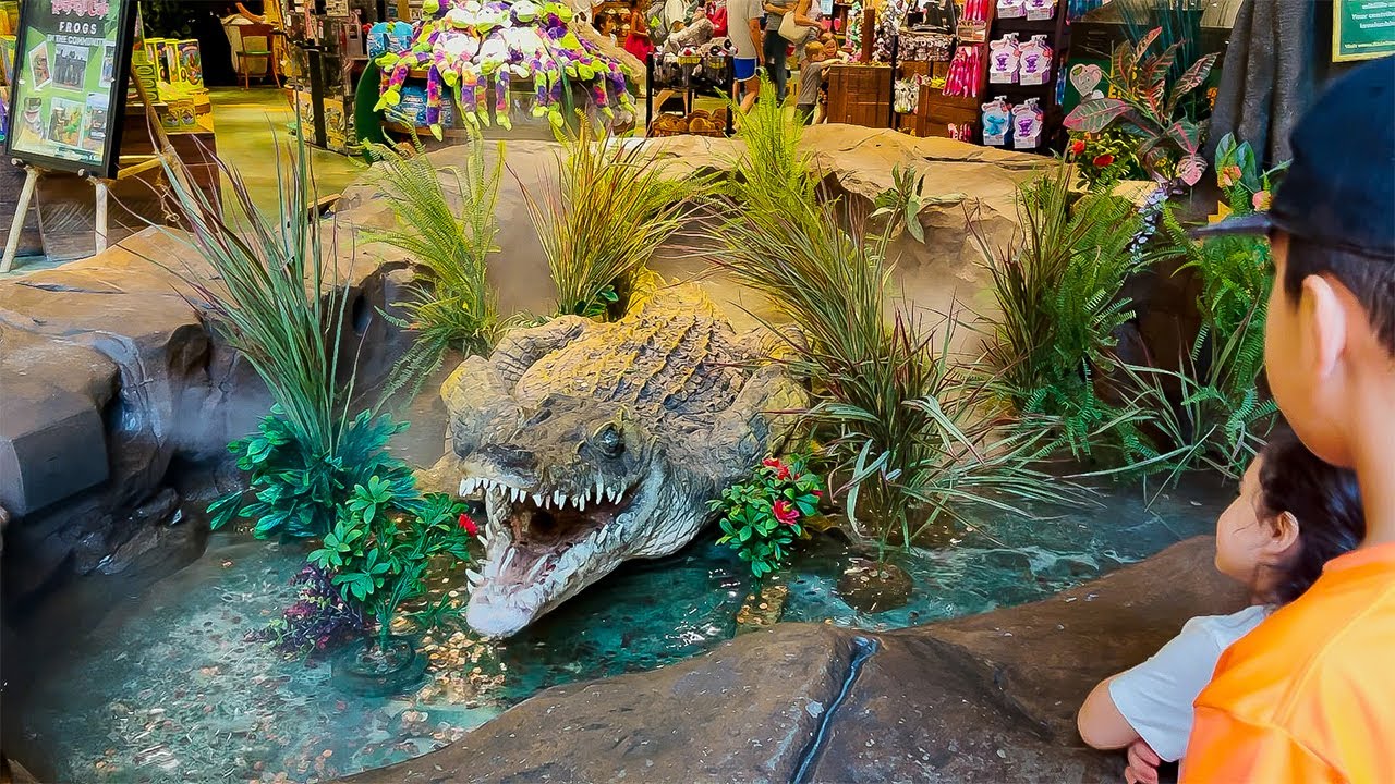 Rain Forest Café Adventure!